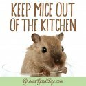 mice