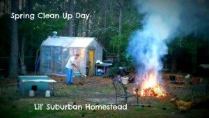 lilsubhomesteadspringcleanupday-750x422