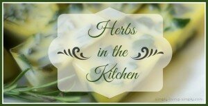 herbs kitchen feature