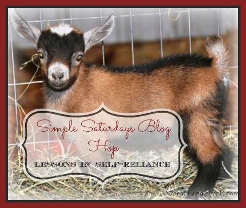 simple saturdays blog hop lesa goat